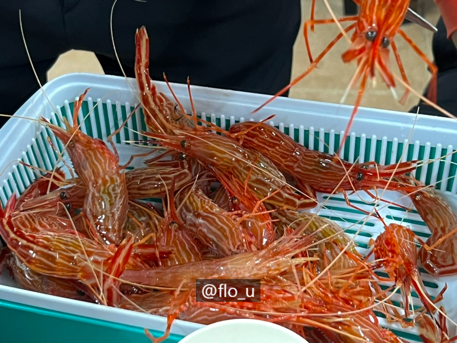 서장대왕새우 이미지