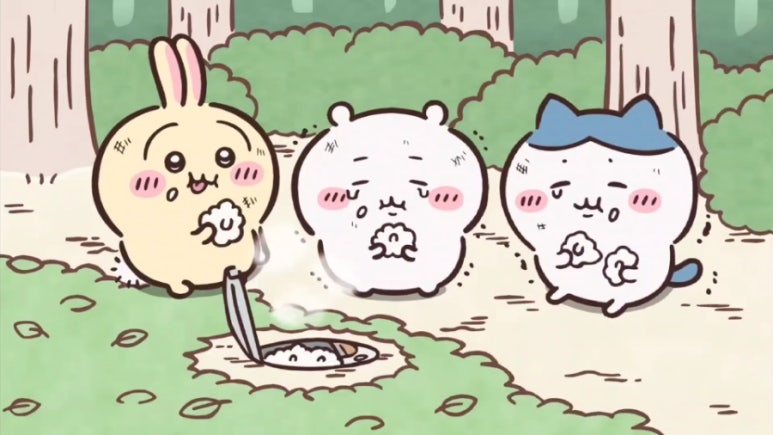 오데이지 이미지