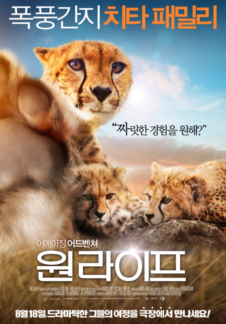원라이프 이미지