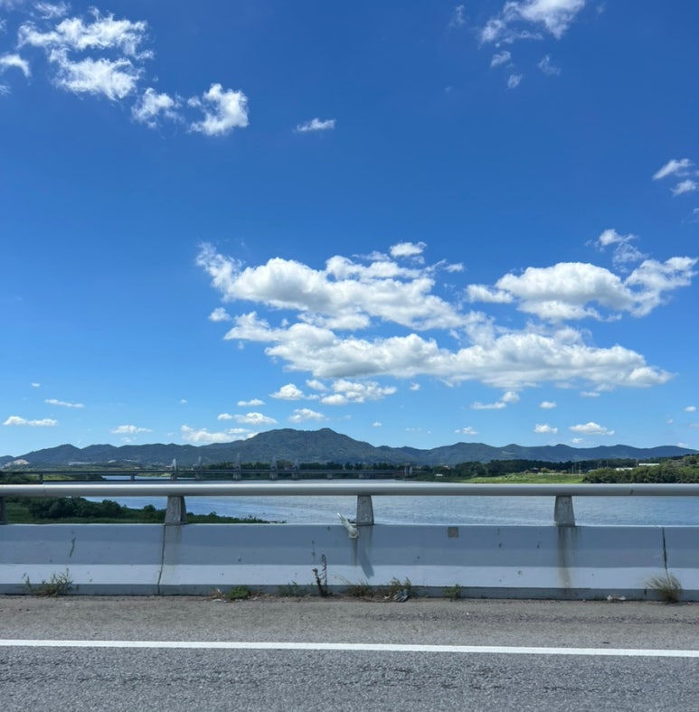 영산산림 이미지
