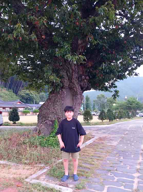 온계종택삼백당 이미지