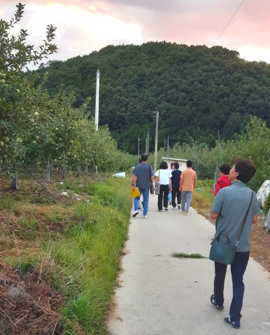 녹색영농조합법인 이미지