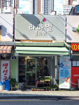 라마벨플라워 이미지