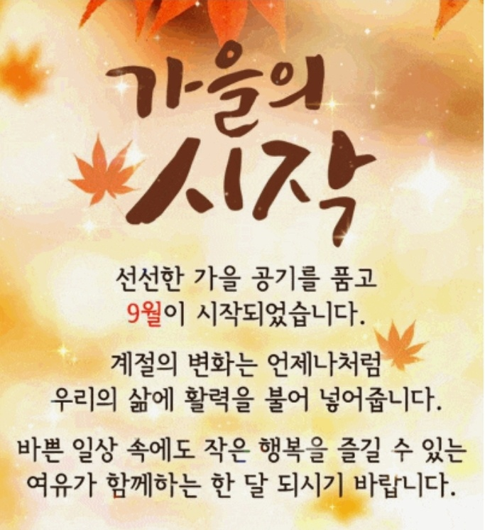 키드움 이미지
