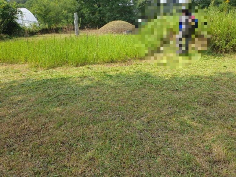 고인돌상조 이미지