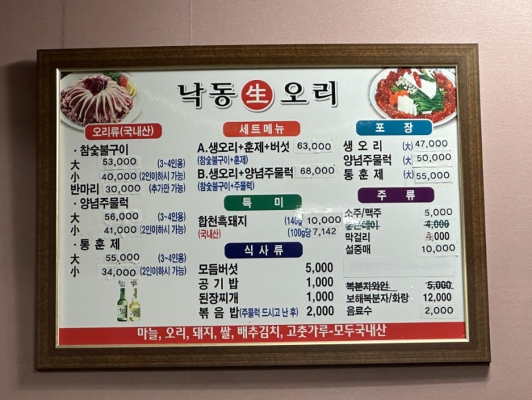 낙동생오리 이미지