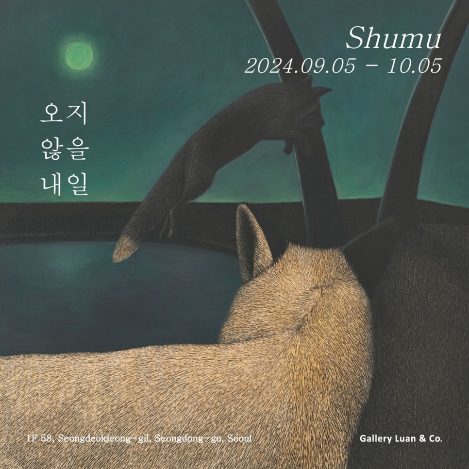 슈갤러리 이미지