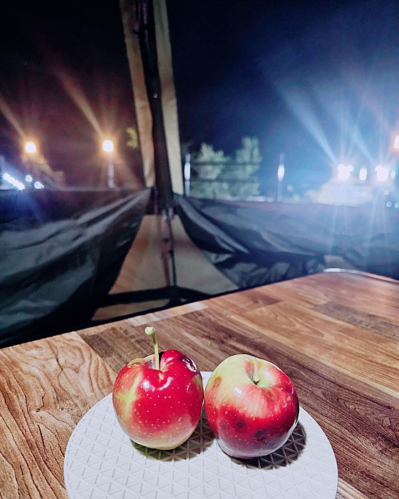 동산오토캠핑장 이미지