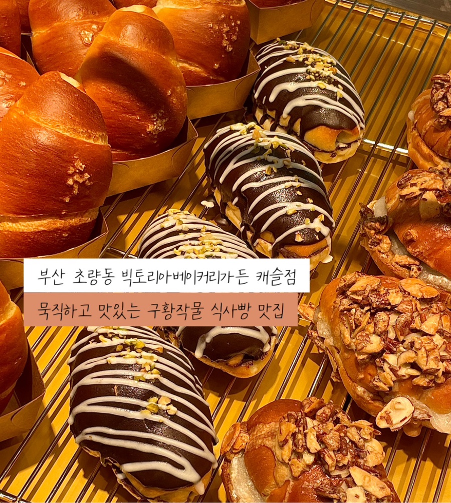 베이커리캐슬 이미지