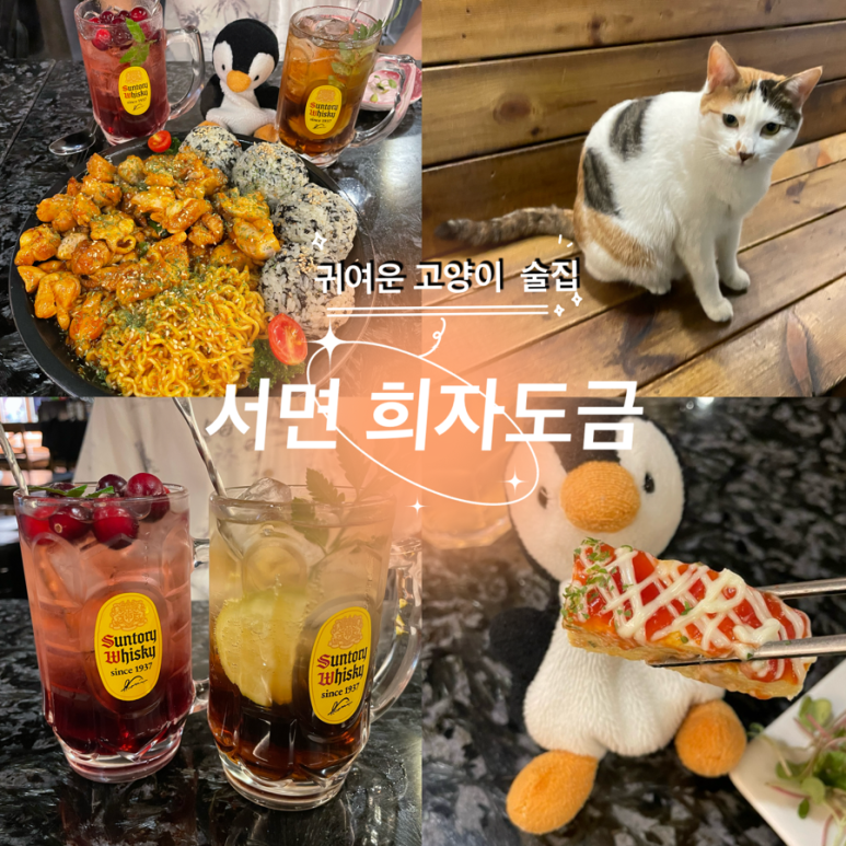 이자카야고양이 이미지