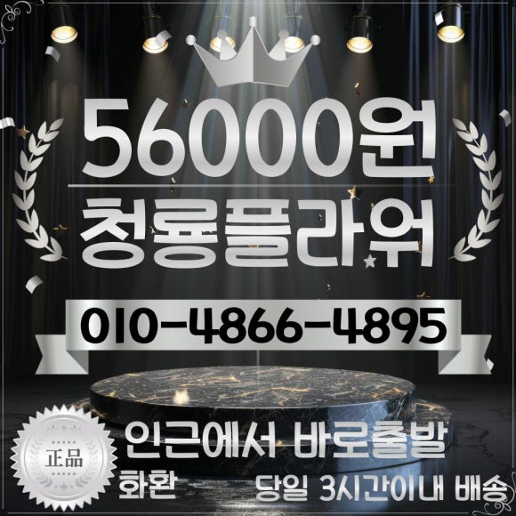파라밀장례식장 이미지