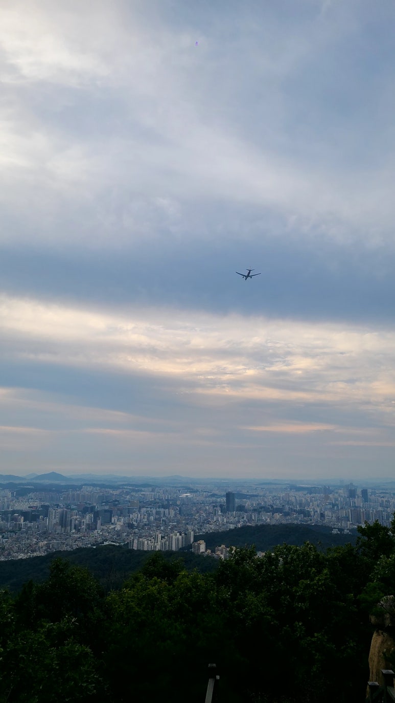 대가왕돈카츠 이미지