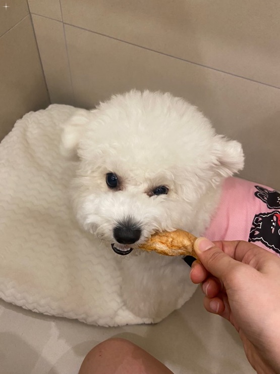 호텔맘 이미지