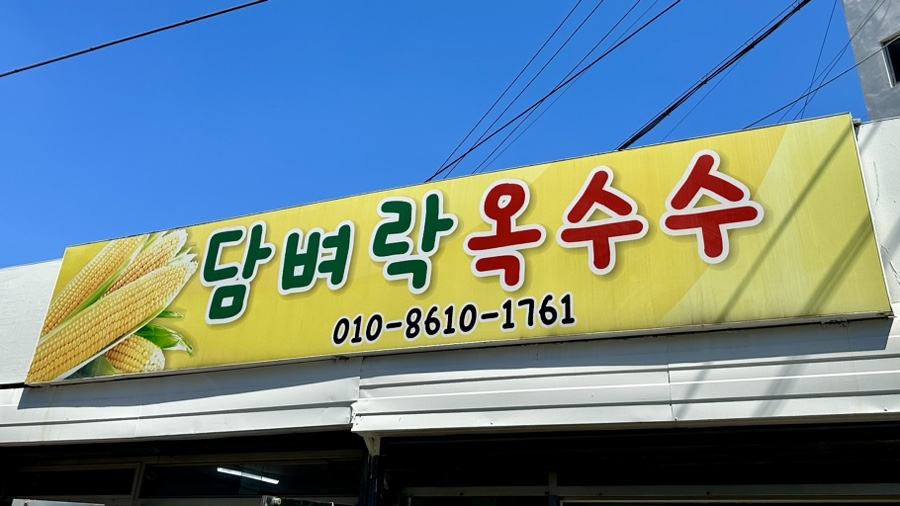 담벼락옥수수 이미지