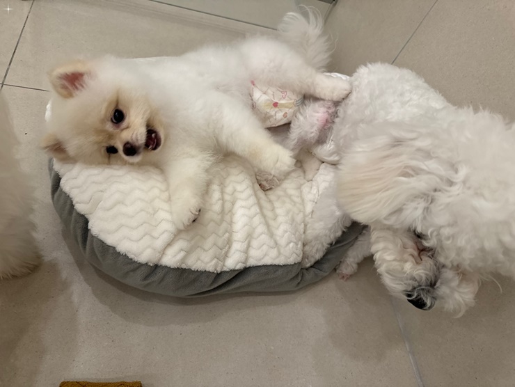 호텔맘 이미지