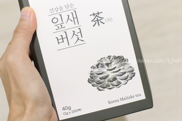 봄내다살이 이미지