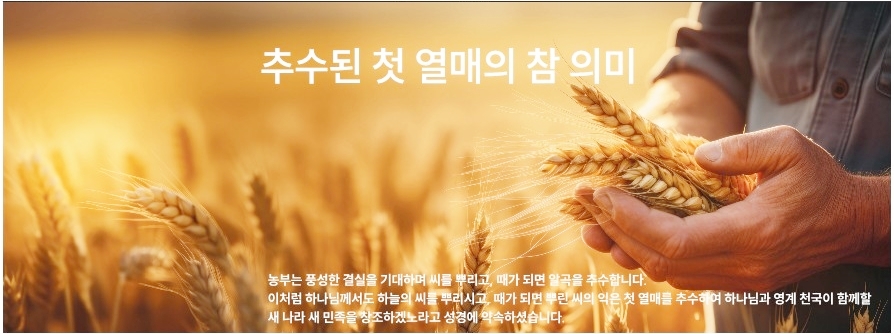 하늘과열매(주) 이미지