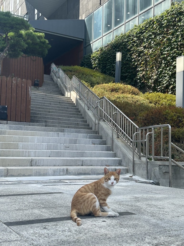 유가네서산예천점 이미지