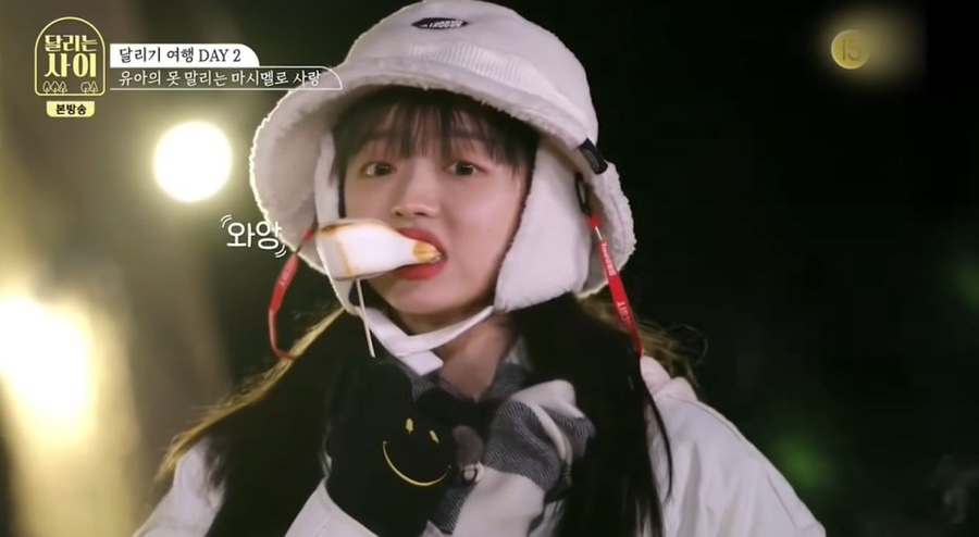 캠프파지립 이미지