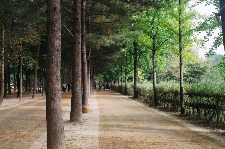 경춘관 이미지