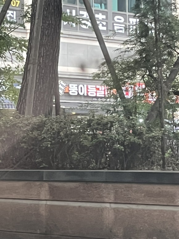 뚱이등갈비 이미지