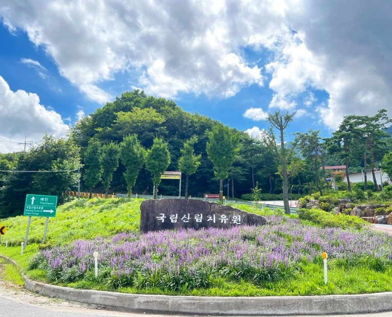 국립산림치유원 이미지