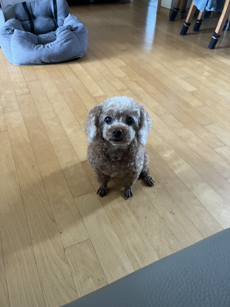 거성농수산 이미지