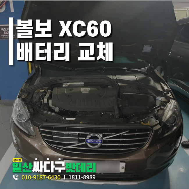 일산싸다구밧데리성석점 이미지