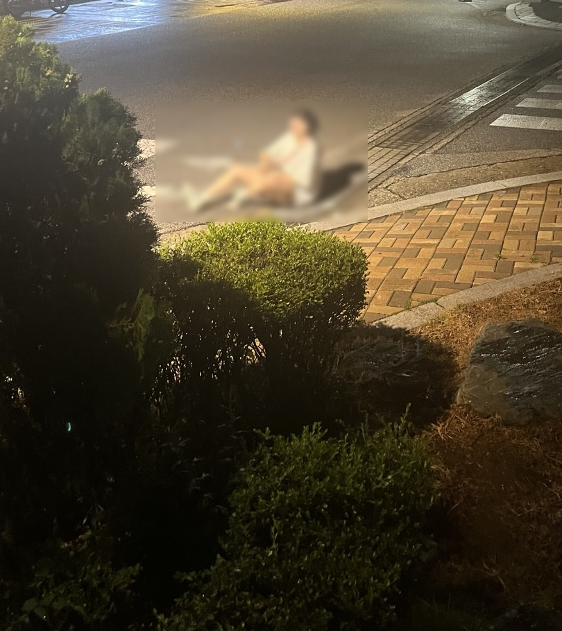 밀밀밀 이미지