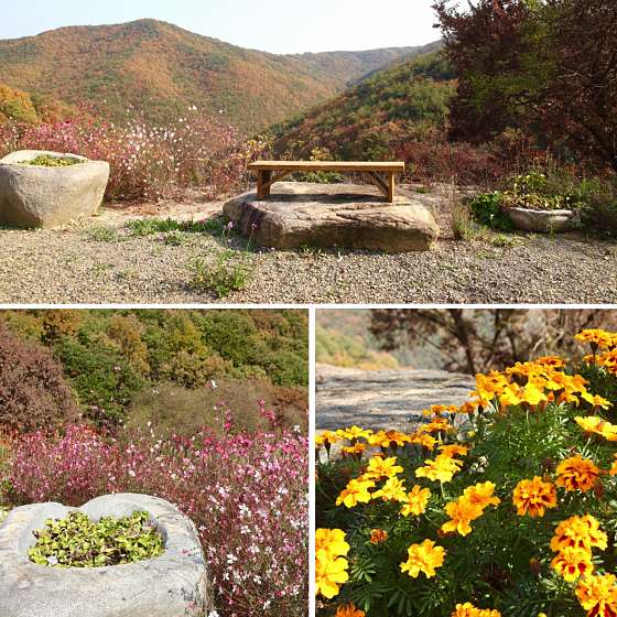 밤마을 이미지