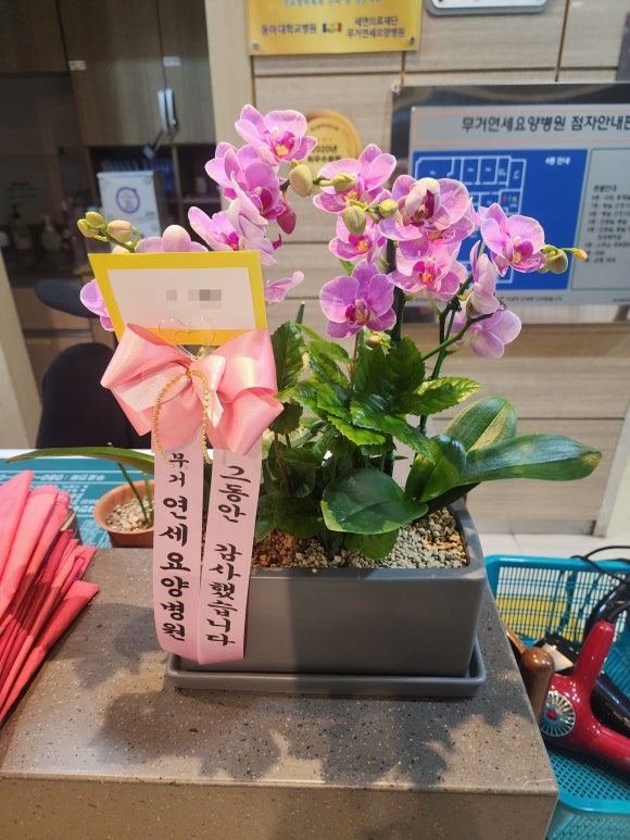 연세나은요양병원 이미지