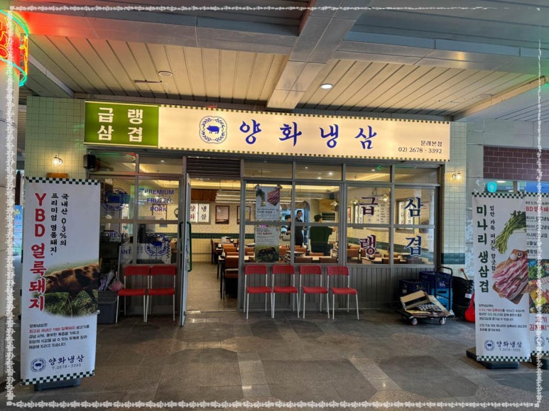 양화냉삼 이미지