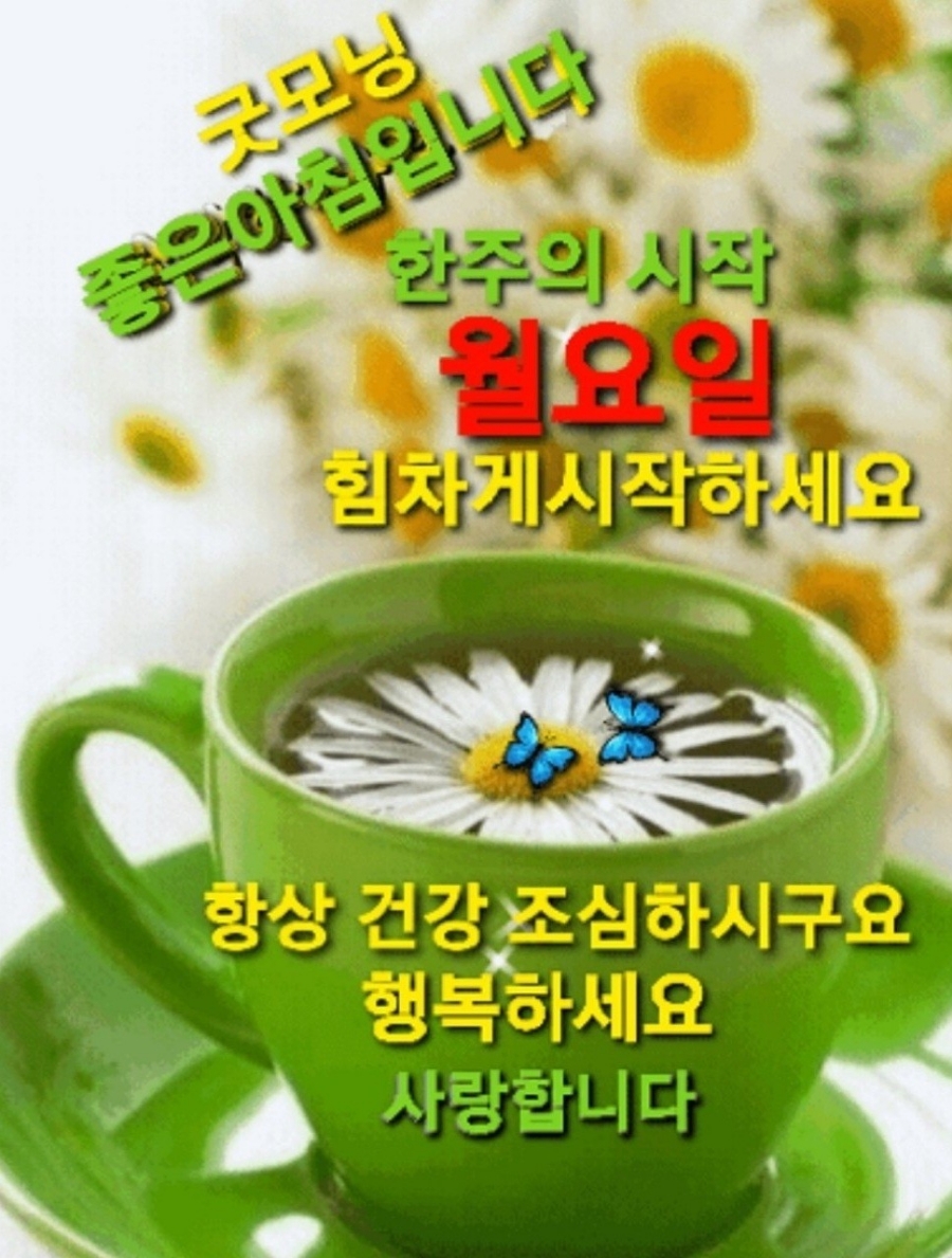 에이스환경 이미지