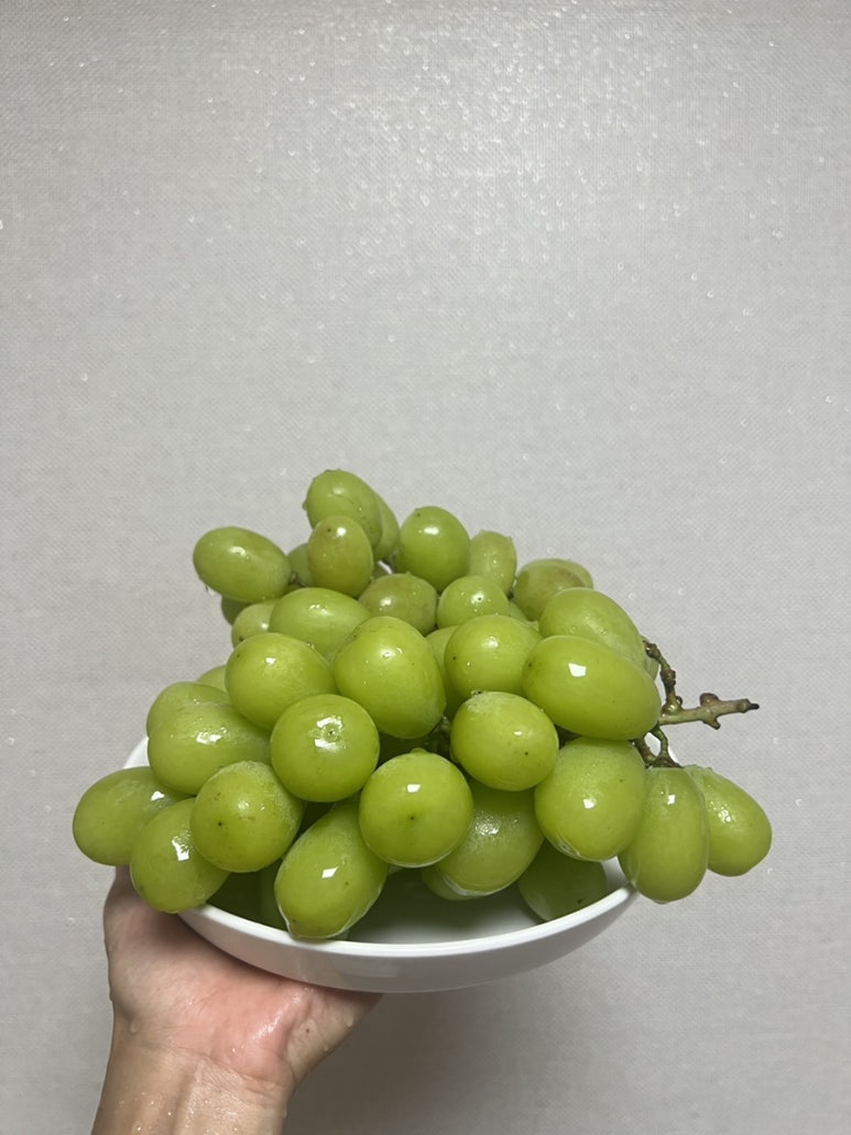 조은팜 이미지