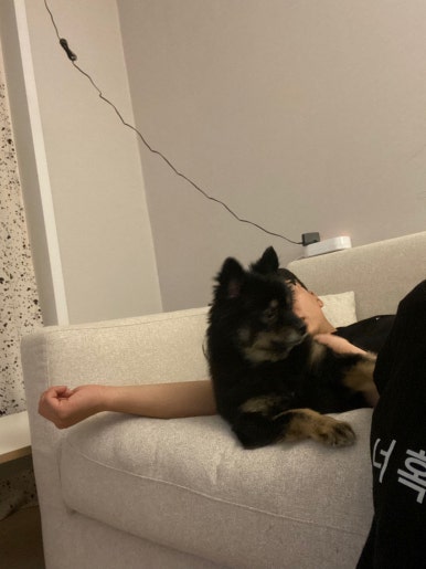 경원해물찜서천 이미지