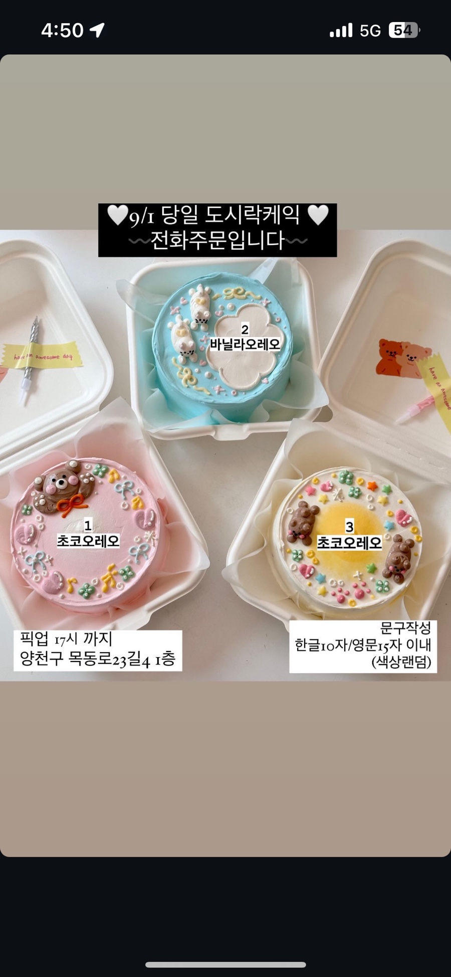 할로나데이 이미지