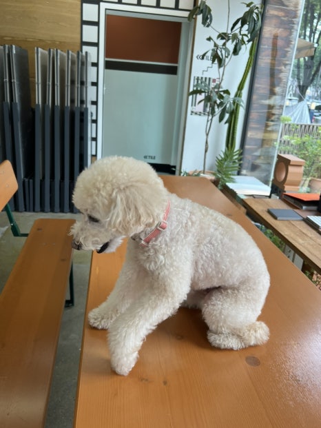 윤홍타일 이미지