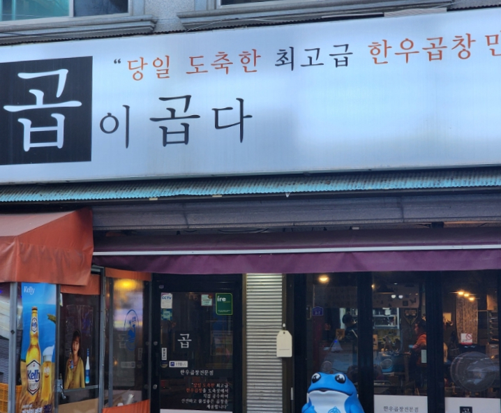 곱이곱다 이미지