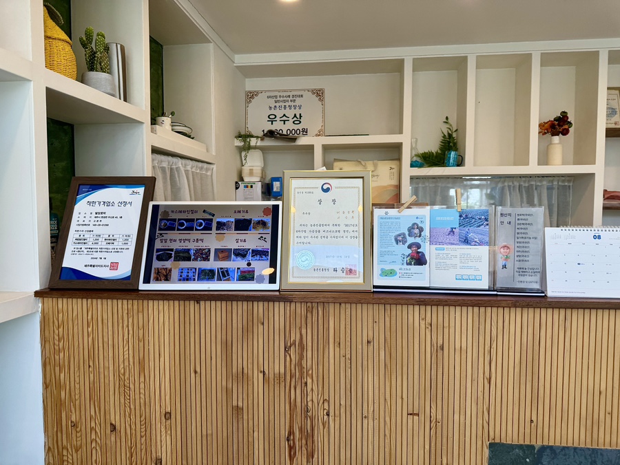 밭담호박 이미지