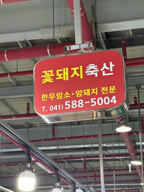 꽃돼지축산 이미지