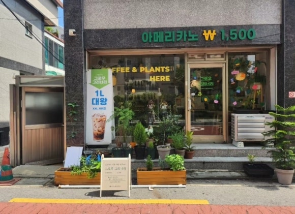 그로우 그리너리 이미지