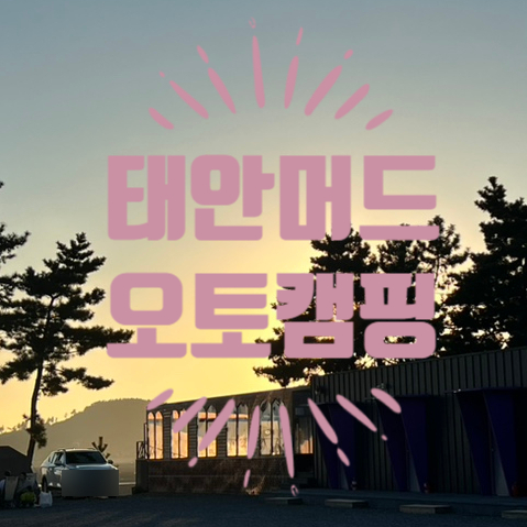 태안머드오토캠핑 이미지