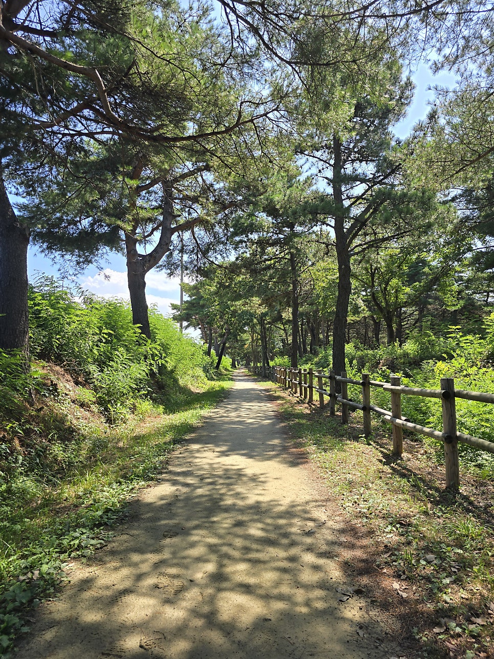 더씨194 이미지