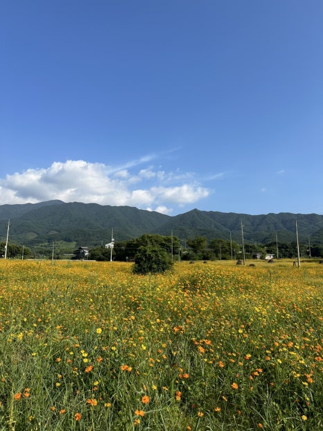 구례군청소년수련원 이미지