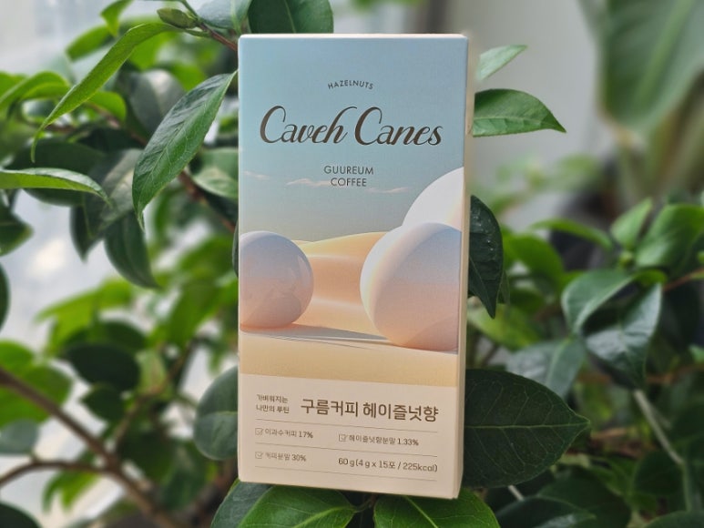 케비케니스 이미지