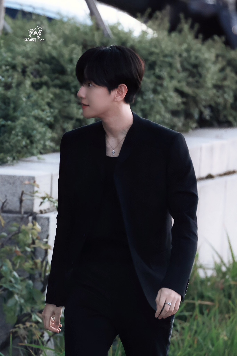 베니르 이미지