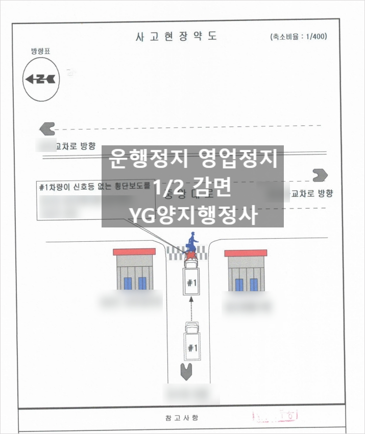 양지행정사사무소 이미지
