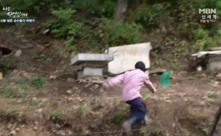 타코박스 이미지