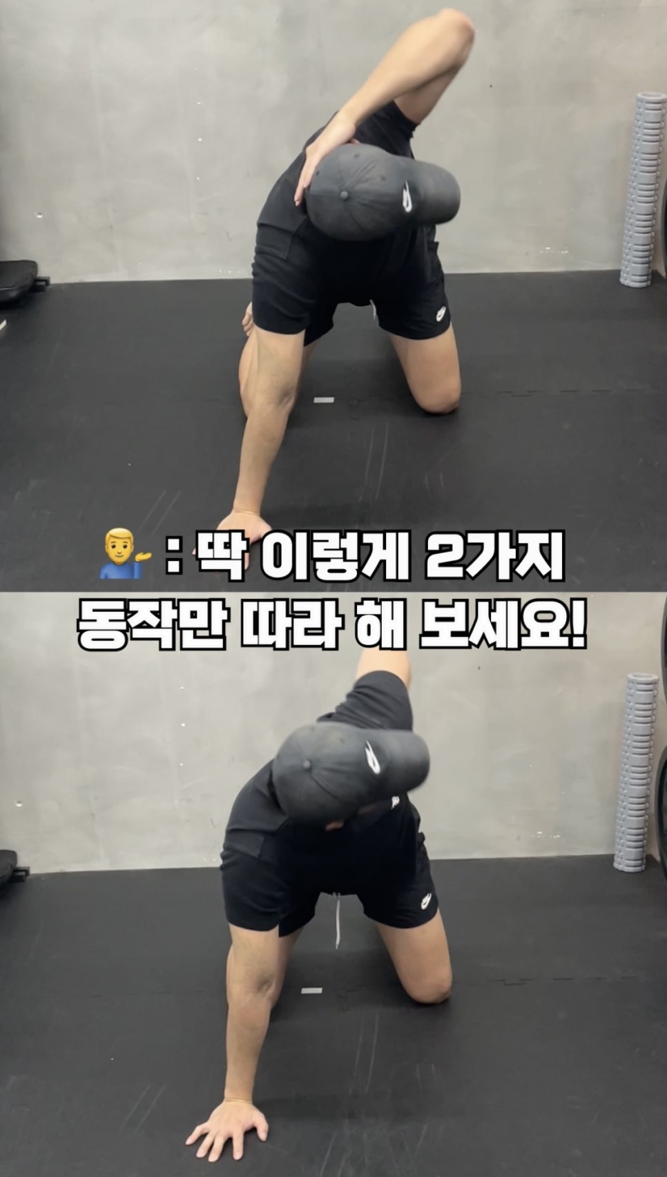 바오핏가락문정 이미지