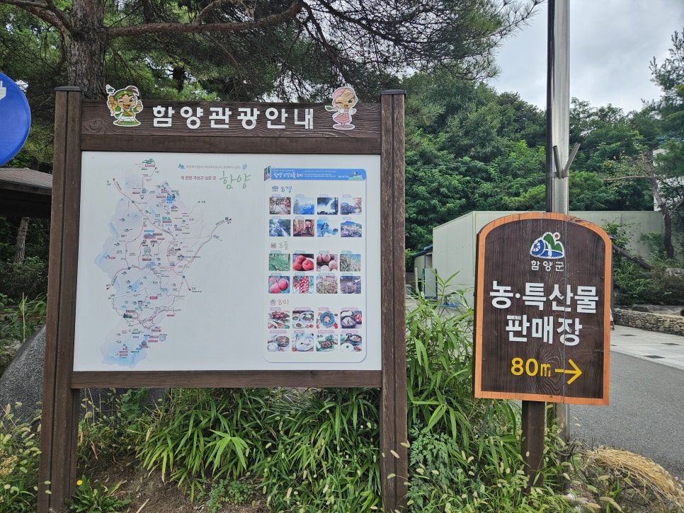 시카프관광개발 이미지